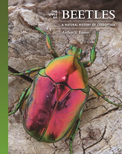 The Lives of Beetles: A Natural History of Coleoptera (Lives of the Natural World)