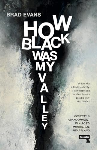 How Black Was My Valley: Poverty and Abandonment in a Post-Industrial Heartland von Repeater