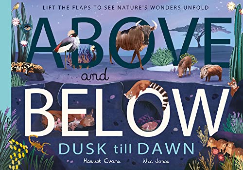 Above and Below: Dusk till Dawn: Lift the flaps to see nature's wonders unfold