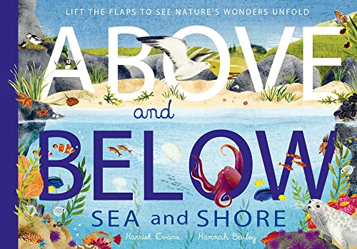 Above and Below: Sea and Shore: Lift the flaps to see nature's wonders unfold Above and Below: Sea and Shore: Lift the flaps to see nature's wonders unfold