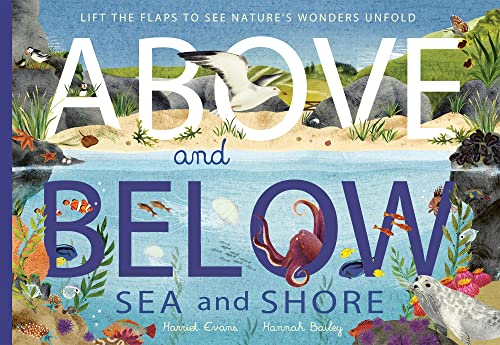 Above and Below: Sea and Shore: Lift the flaps to see nature's wonders unfold von Little Tiger