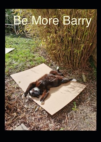 Be More Barry: The Cat Who Just Doesn't Worry About Anything