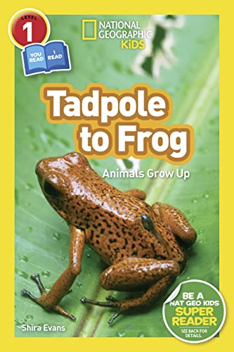 National Geographic Readers: Tadpole to Frog (L1/Co-reader): Animals Grow Up