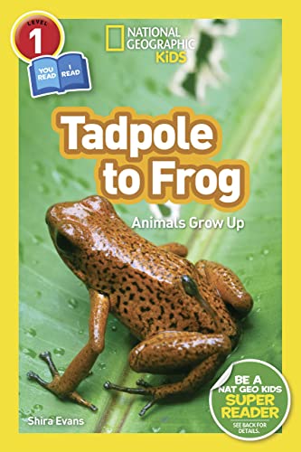 Tadpole to Frog (National Geographic Kids Readers, Level 1/Co-Reader): Animals Grow Up
