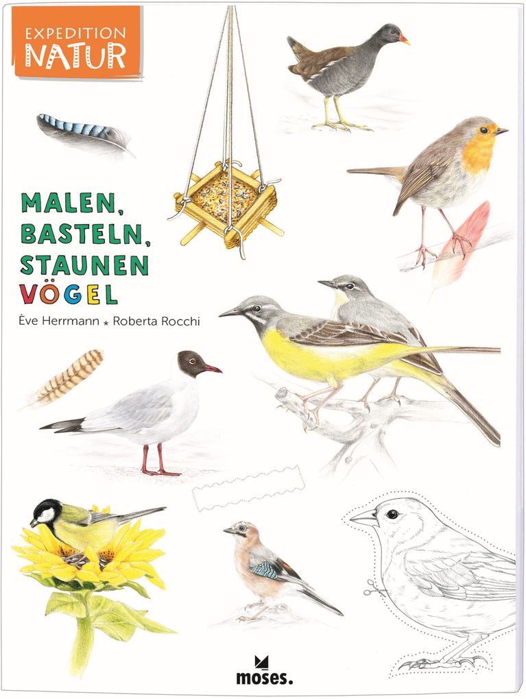 Expedition Natur: Malen Basteln Staunen - Vögel von moses. Verlag GmbH