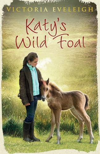 Katy's Wild Foal: Book 1 (Katy's Exmoor Ponies, Band 1)