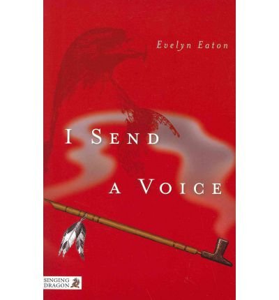 I Send a Voice by Eaton, Evelyn ( Author ) ON May-15-2012, Paperback von Jessica Kingsley Publishers