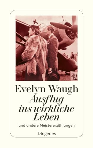 Ausflug ins wirkliche Leben: und andere Meistererzählungen (detebe) von Diogenes Verlag AG