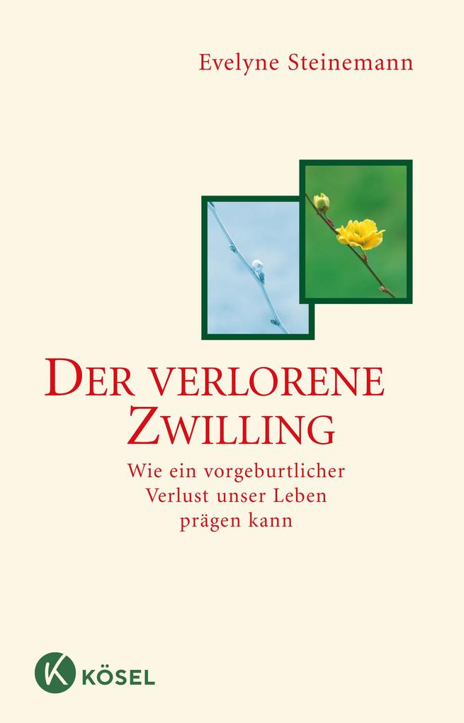 Der verlorene Zwilling von Kösel-Verlag