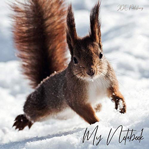 My Notebook - Dickes Notizbuch Skizzenbuch Bullet Journal – Eichhörnchen, Tiere, Natur: quadratisch, 21x21cm, kariert mit edlem satin-matten cover ... Skizzen, Schreiben, Zeichen, Malen, Band 12) My Notebook - Dickes Notizbuch Skizzenbuch Bullet Journal – Eichhörnchen, Tiere, Natur: quadratisch, 21x21cm, kariert mit edlem satin-matten cover ... Skizzen, Schreiben, Zeichen, Malen, Band 12)