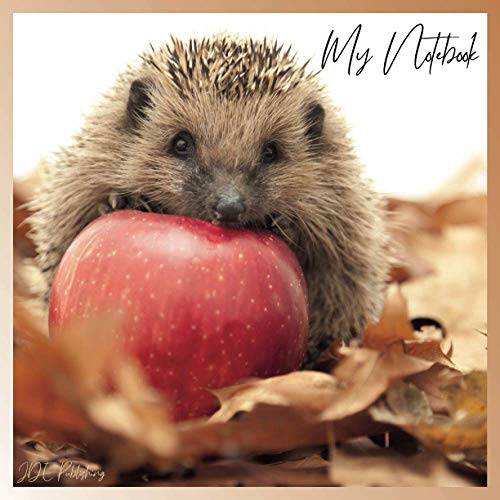 My Notebook - Dickes Notizbuch Skizzenbuch Bullet Journal – Igel, Tiere, Natur: quadratisch, 21x21cm, blanko mit edlem satin-matten cover My Notebook - Dickes Notizbuch Skizzenbuch Bullet Journal – Igel, Tiere, Natur: quadratisch, 21x21cm, blanko mit edlem satin-matten cover von Independently published