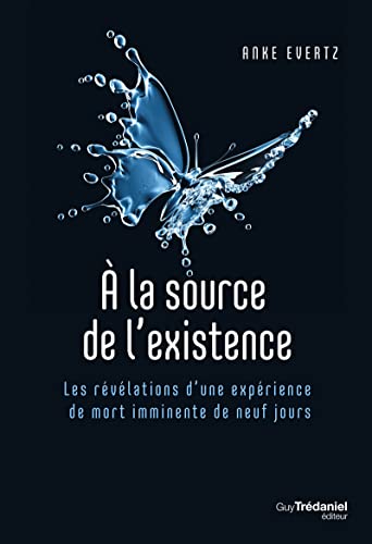 A la source de l'existence - Les révélations d'une expérience de mort imminente de neuf jours von TREDANIEL