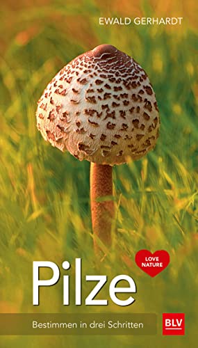 Pilze: Bestimmen in drei Schritten (BLV Pilze)