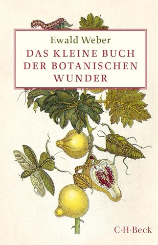 Das kleine Buch der botanischen Wunder (Beck Paperback) von Beck C. H.