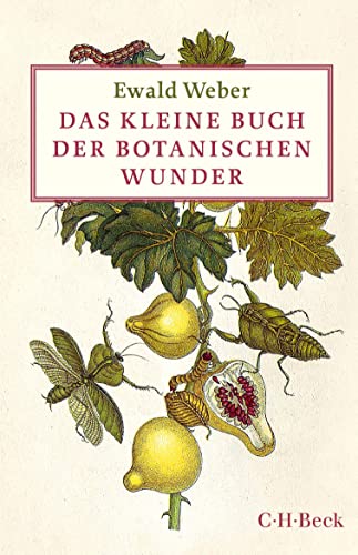 Das kleine Buch der botanischen Wunder (Beck Paperback)