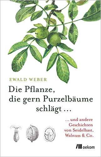 Die Pflanze, die gern Purzelbäume schlägt …: …und andere Geschichten von Seidelbast, Walnuss & Co.