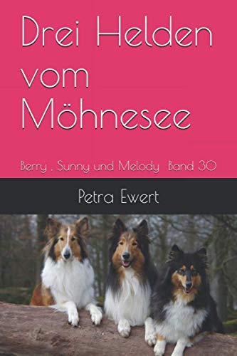 Drei Helden vom Möhnesee (Band, Band 30) von Independently published