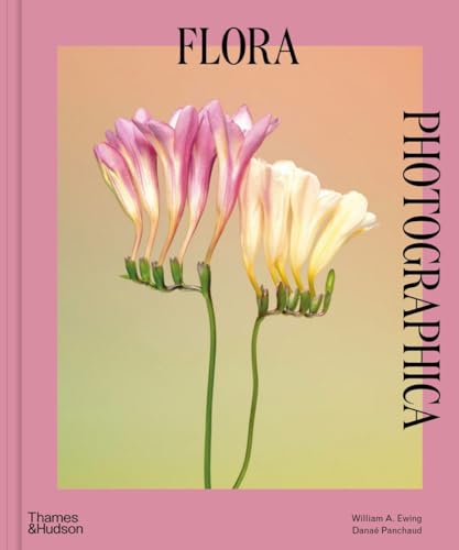 Flora Photographica: The Flower in Contemporary Photography von Thames & Hudson / Thames and Hudson Ltd