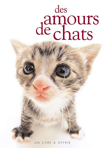 AMOURS DE CHATS