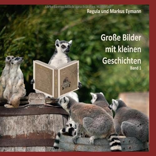 Große Bilder mit kleinen Geschichten / Grosse Bilder - mit kleinen Geschichten - Band 1: Fantasievolle Bilder und ihre Kurzgeschichten von epubli