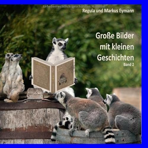 Große Bilder mit kleinen Geschichten / Grosse Bilder - mit kleinen Geschichten - Band 2: Fantasievolle Bilder und ihre Kurzgeschichten von epubli