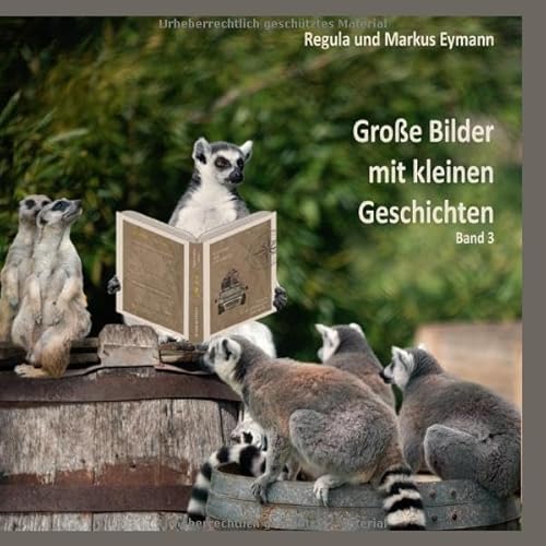 Große Bilder mit kleinen Geschichten / Grosse Bilder - mit kleinen Geschichten - Band 3: Fantasievolle Bilder und ihre Kurzgeschichten von epubli