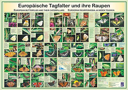 Europäische Tagfalter und ihre Raupen: European butterflies and their caterpillars /Euroopan päiväperhosia ja niiden toukkia (Planet-Poster-Box)