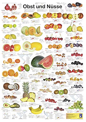 Obst und Nüsse (Planet-Poster-Box)