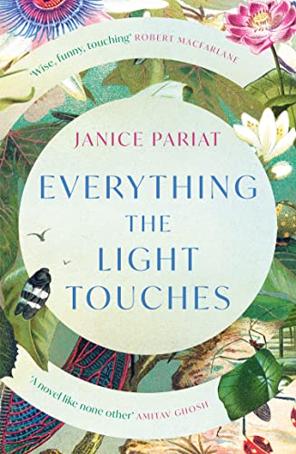 Everything the Light Touches: The critically acclaimed novel from the award-winning author