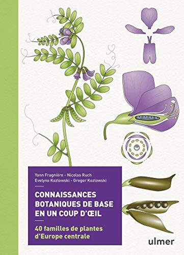 Connaissances botaniques de base en un coup d'oeil: 40 familles de plantes d'Europe centrale von Ulmer