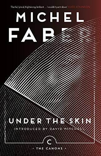 Under The Skin: Michel Faber Michel (Canons) von Canongate Books Ltd