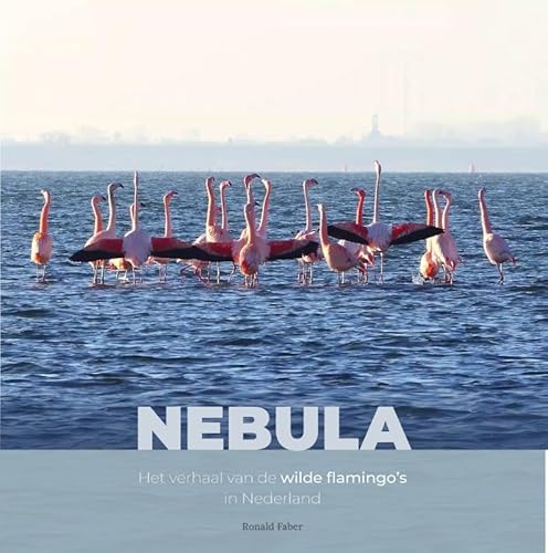 Nebula: Het verhaal van de wilde flamingo's in Nederland (Vogelfamilies, 2) von PiXFACTORY