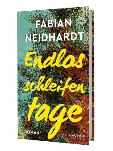 Endlosschleifentage: Roman von Haymon Verlag