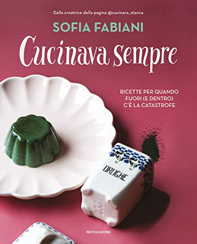 Cucinava sempre. Ricette per quando fuori (e dentro) c'è la catastrofe (Illustrati)