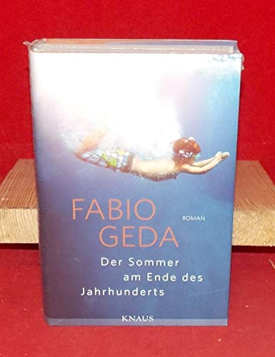 Der Sommer am Ende des Jahrhunderts: Roman