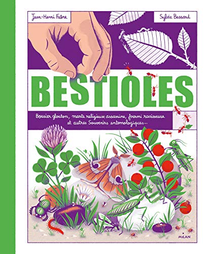 Bestioles: D'après les "Souvenirs entomologiques" de Jean Henri Fabre