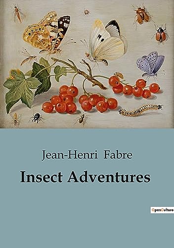 Insect Adventures Insect Adventures