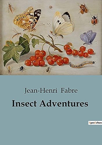 Insect Adventures