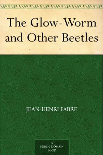 The Glow-Worm and Other Beetles The Glow-Worm and Other Beetles von Anson Street Press