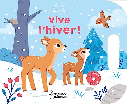 Vive l'hiver !: Une histoire à toucher von LAROUSSE