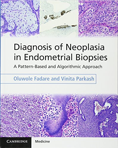 Diagnosis of Neoplasia in Endometrial Biopsies: A Pattern-Based and Algorithmic Approach