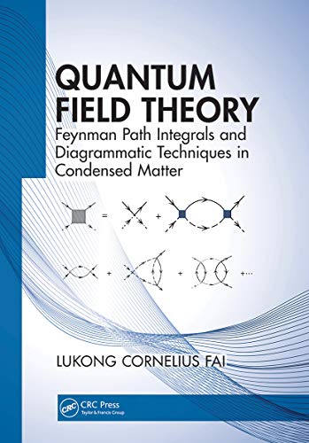 Quantum Field Theory: Feynman Path Integrals and Diagrammatic Techniques in Condensed Matter von CRC Press