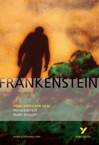 Frankenstein (York Notes for Gcse): York Notes for GCSE