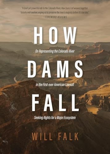 How Dams Fall von Wayfarer Books