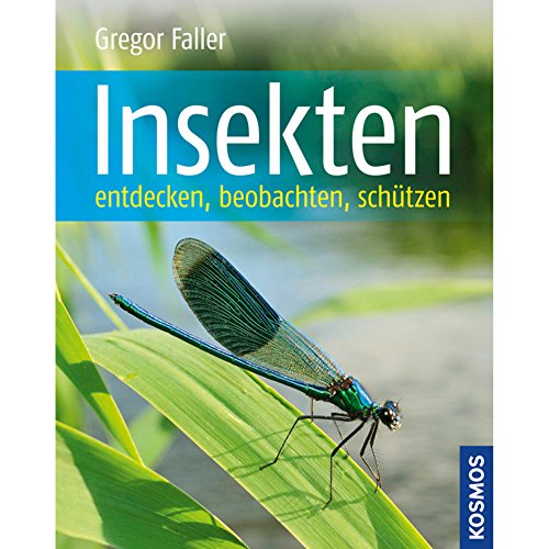 Insekten: Entdecken, beobachten, schützen