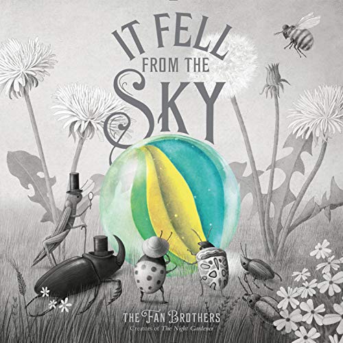 It Fell From The Sky von Frances Lincoln Children's Books