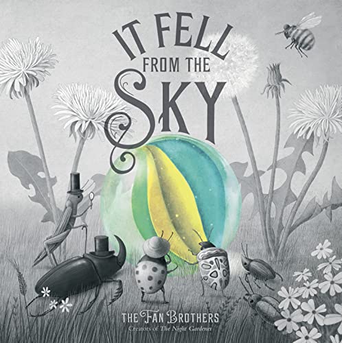 It Fell From The Sky von Frances Lincoln Children's Books