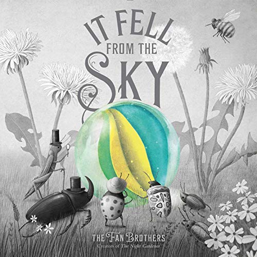 It Fell from the Sky von Simon & Schuster Books for Young Readers