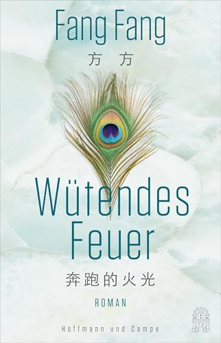 Wütendes Feuer: Roman