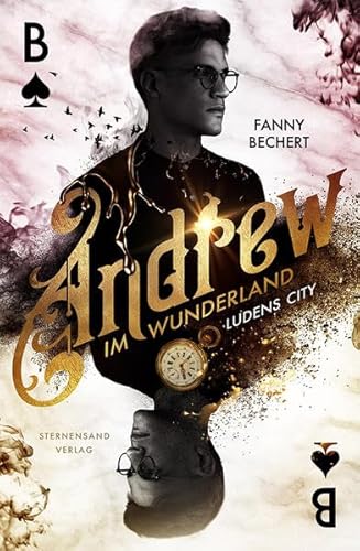 Andrew im Wunderland (Band 1): Ludens City von Sternensand Verlag